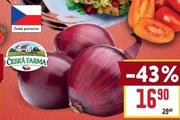 Cibule červená Česká farma