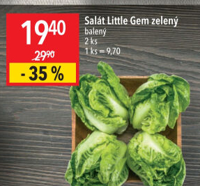Salát little gem