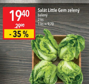 Salát little gem