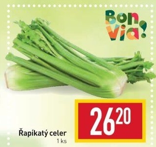 Celer řapíkatý Billa Bonvia