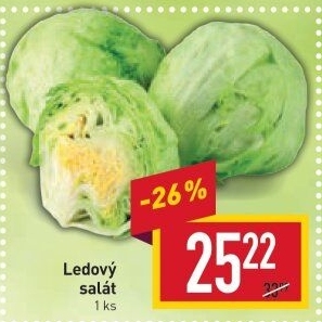 Salát ledový