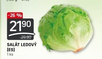 Salát ledový