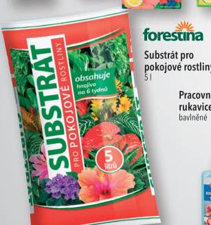 Substrát pro pokojové rostliny Forestina