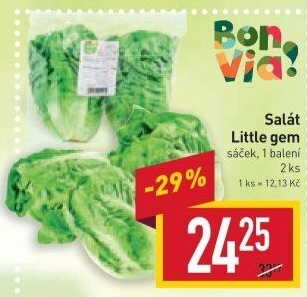 Salát little gem Billa Bonvia