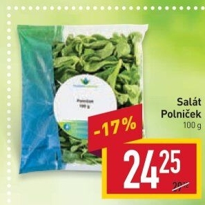 Salát polníček