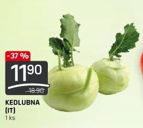 Kedlubna bílá