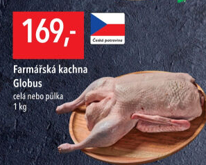 Kachna farmářská Globus