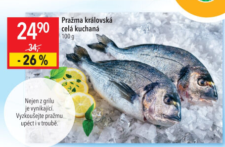 Pražma královská kuchaná