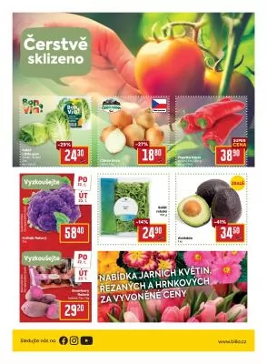 akční leták BILLA 17.1.2024-23.1.2024
