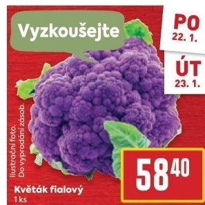 Květák