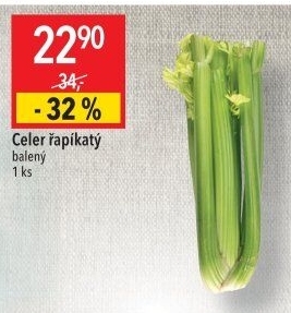 Celer řapíkatý