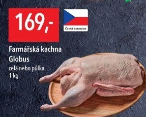 Kachna farmářská Globus