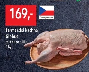 Kachna farmářská Globus