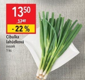 Jarní cibule svazek