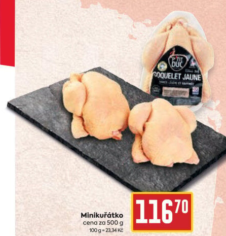 Mini kuřátko P'