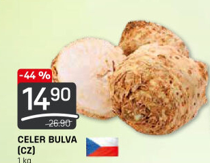 Celer bulva