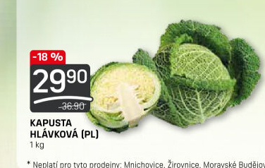 Kapusta hlávková