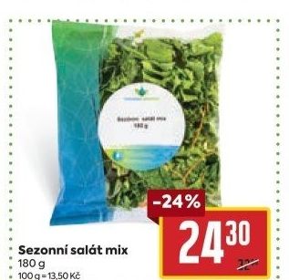 Salát sezonní mix Polabská zelenina