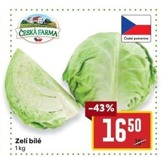 Zelí hlávkové bílé Česká farma