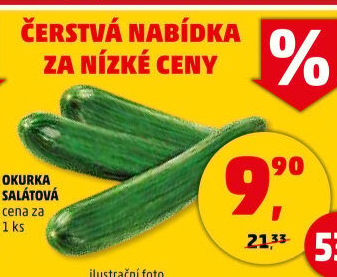 Okurka hadovka