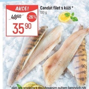Candát filety