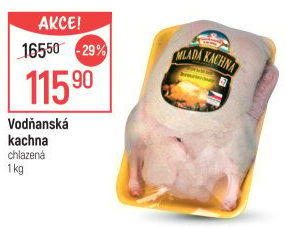 Kachna Vodňanská kachna
