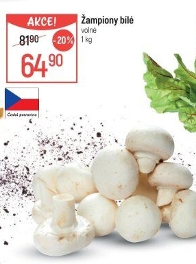 Žampiony bílé