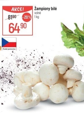 Žampiony bílé