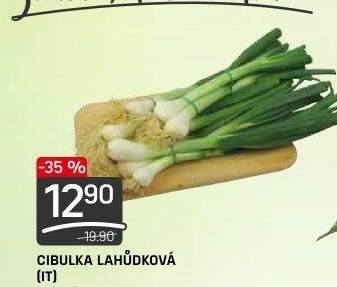 Jarní cibule svazek