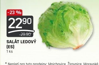Salát ledový