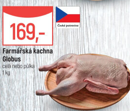 Kachna farmářská Globus