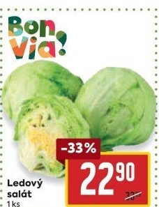 Salát ledový Billa Bonvia