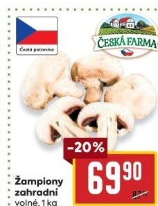 Žampiony zahradní Česká farma