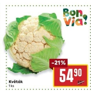 Květák Billa Bonvia