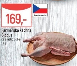 Kachna farmářská Globus