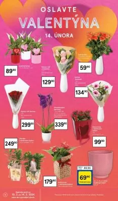 akční leták Tesco 7.2.2024-13.2.2024
