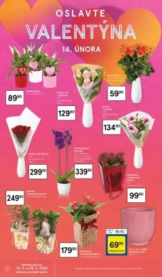 akční leták Tesco 7.2.2024-13.2.2024