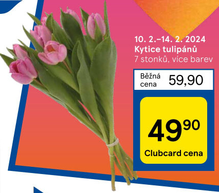 Řezané tulipány