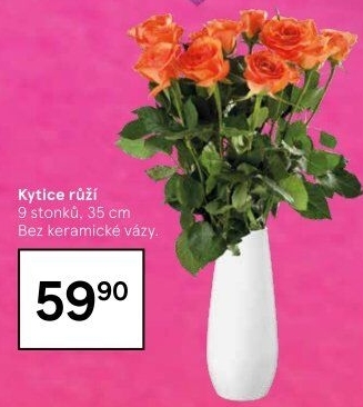 Řezané růže