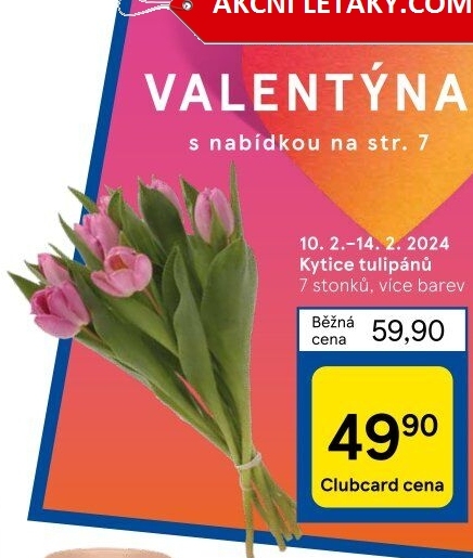 Řezané tulipány