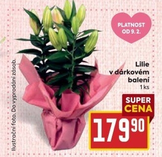 Lilie