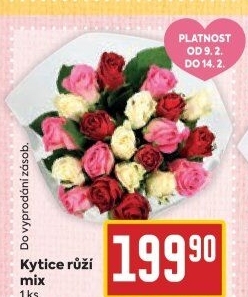 Řezané růže