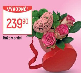 Růže