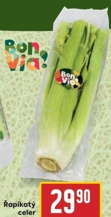 Celer řapíkatý Billa Bonvia