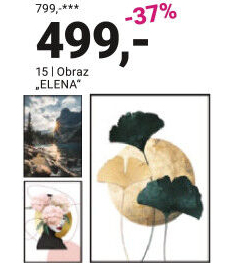 OBRAZ „ELENA“