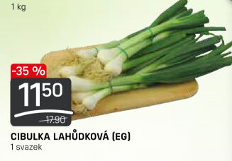 Jarní cibule svazek