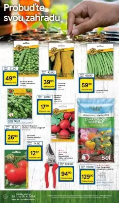 akční leták Tesco 14.2.2024-20.2.2024