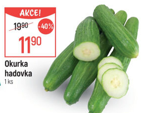 Okurka hadovka