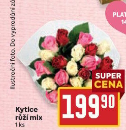 Řezané růže