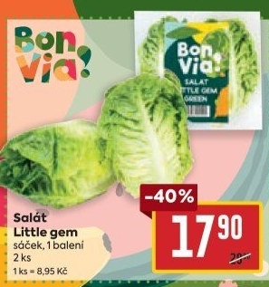 Salát little gem Billa Bonvia